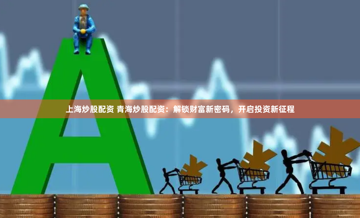 上海炒股配资 青海炒股配资：解锁财富新密码，开启投资新征程