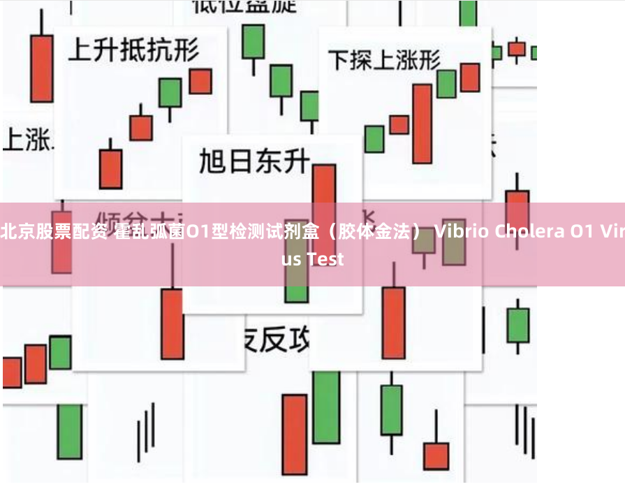 北京股票配资 霍乱弧菌O1型检测试剂盒（胶体金法） Vibrio Cholera O1 Virus Test