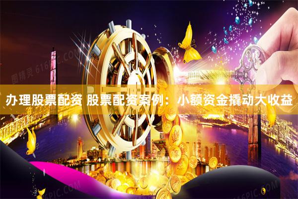 办理股票配资 股票配资案例：小额资金撬动大收益