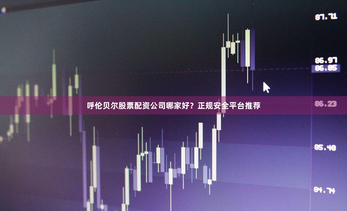 呼伦贝尔股票配资公司哪家好?正规安全平台推荐